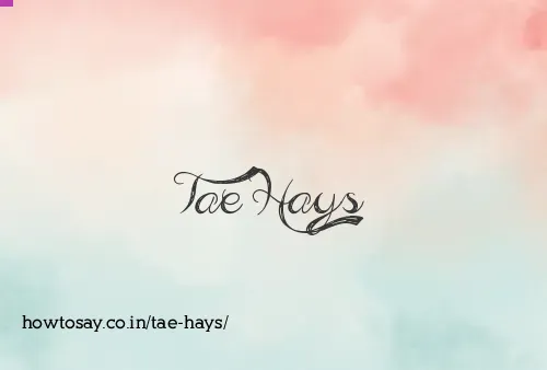 Tae Hays