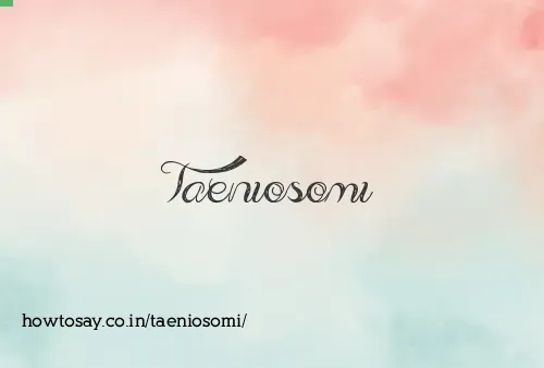 Taeniosomi