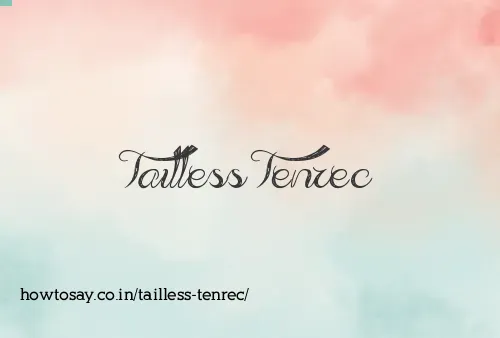 Tailless Tenrec