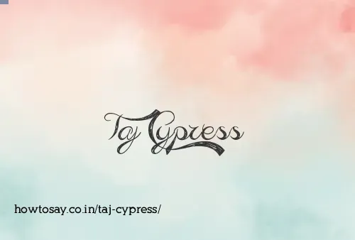 Taj Cypress