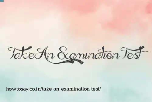 Take An Examination Test