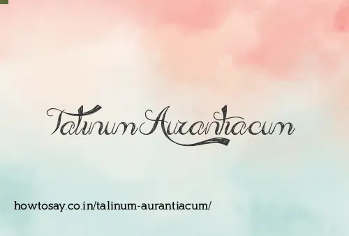 Talinum Aurantiacum