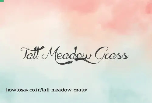 Tall Meadow Grass