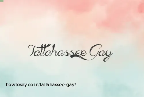 Tallahassee Gay