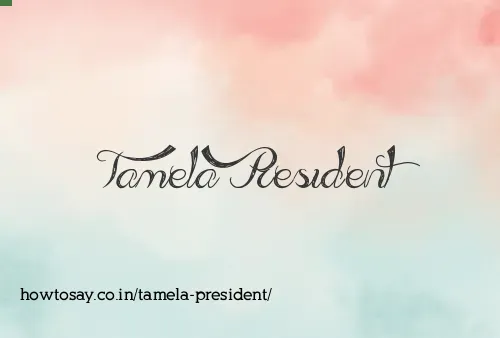 Tamela President