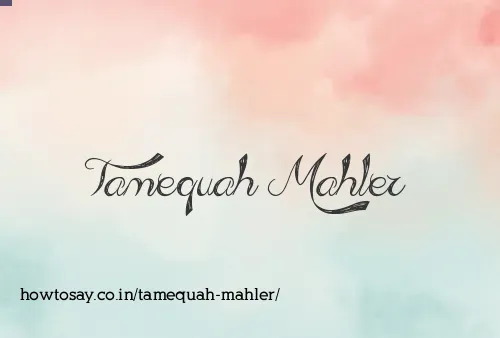 Tamequah Mahler