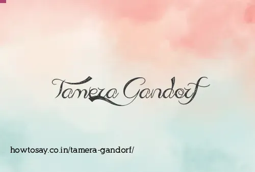 Tamera Gandorf