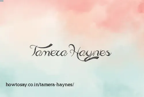 Tamera Haynes