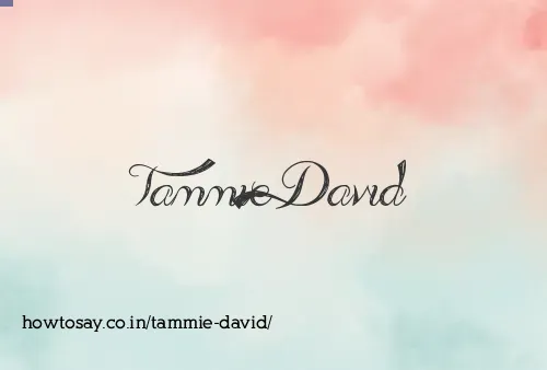 Tammie David