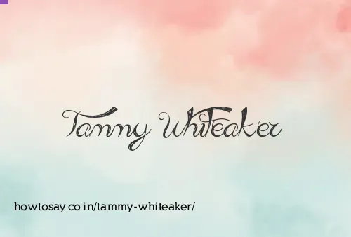 Tammy Whiteaker