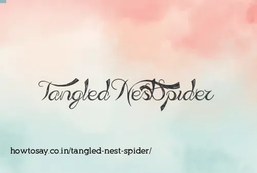 Tangled Nest Spider
