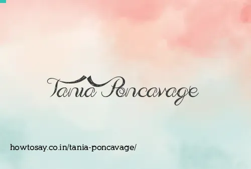 Tania Poncavage