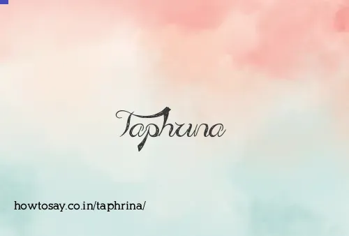 Taphrina
