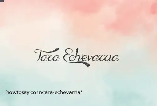 Tara Echevarria