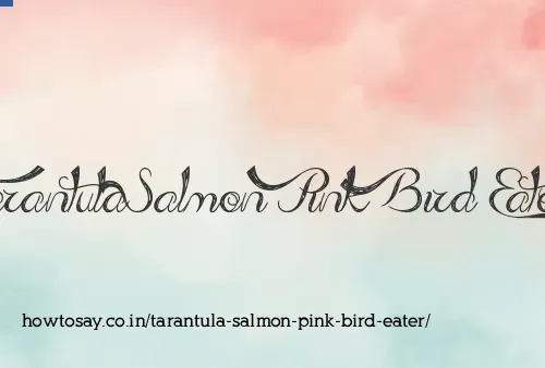 Tarantula Salmon Pink Bird Eater