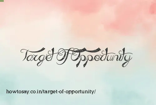 Target Of Opportunity