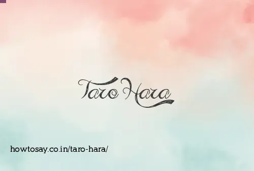 Taro Hara