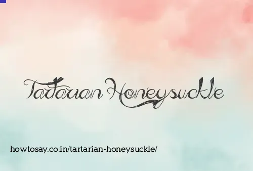 Tartarian Honeysuckle