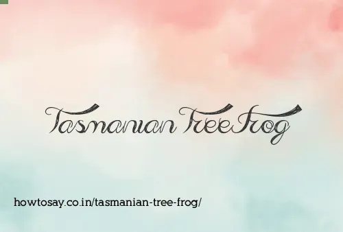 Tasmanian Tree Frog