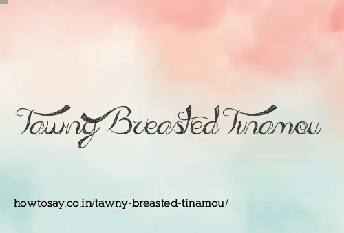 Tawny Breasted Tinamou