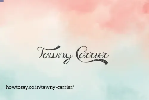 Tawny Carrier