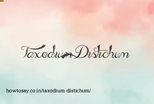 Taxodium Distichum