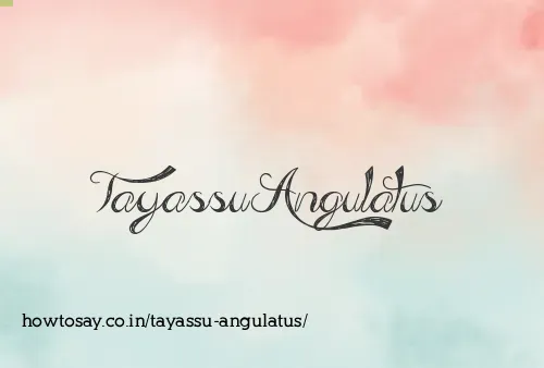 Tayassu Angulatus