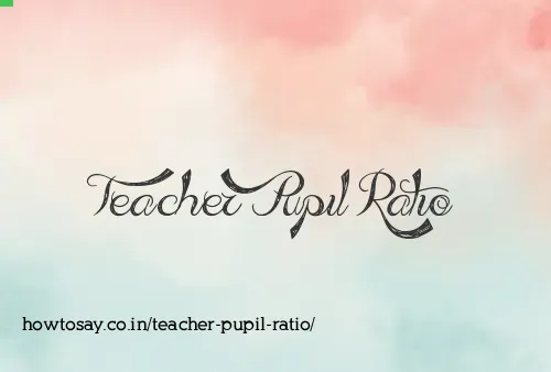 Teacher Pupil Ratio