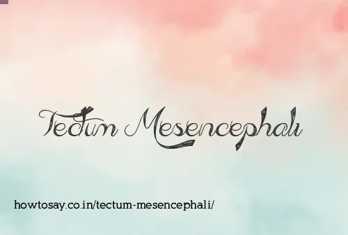Tectum Mesencephali