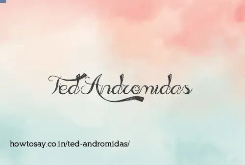 Ted Andromidas
