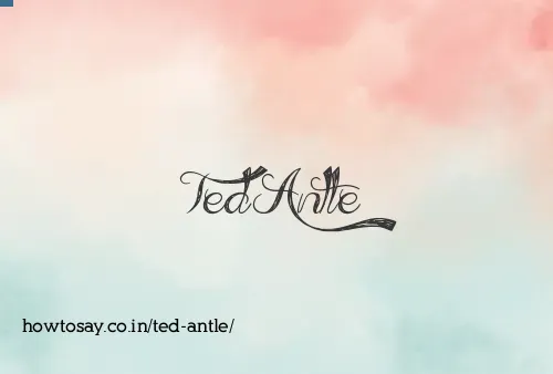 Ted Antle