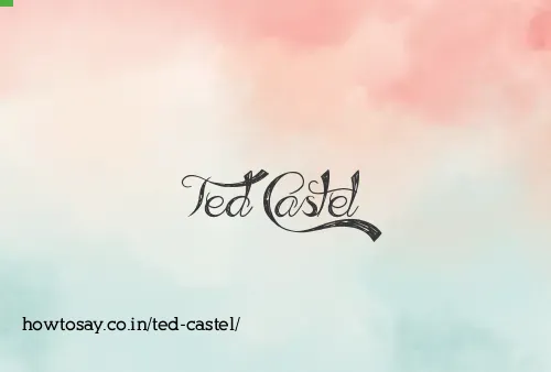 Ted Castel