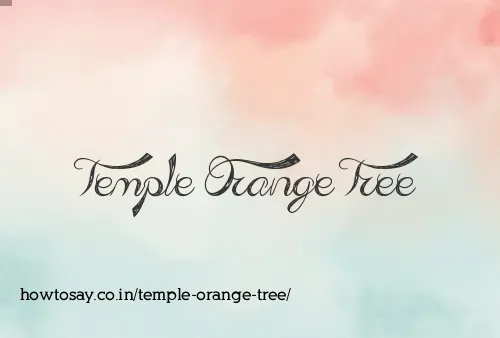Temple Orange Tree