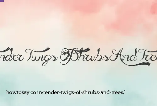 Tender Twigs Of Shrubs And Trees