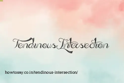Tendinous Intersection