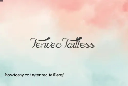 Tenrec Tailless