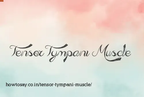 Tensor Tympani Muscle