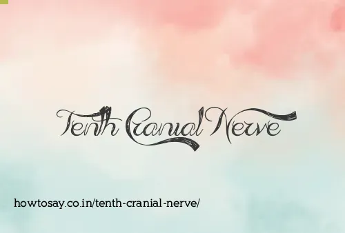 Tenth Cranial Nerve