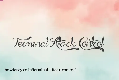 Terminal Attack Control