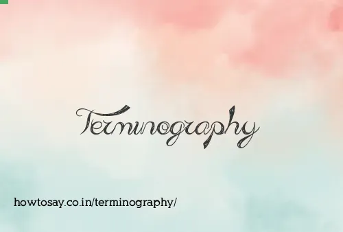 Terminography