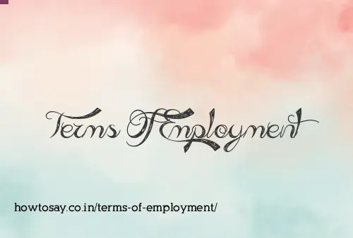 Terms Of Employment