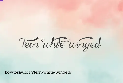 Tern White Winged