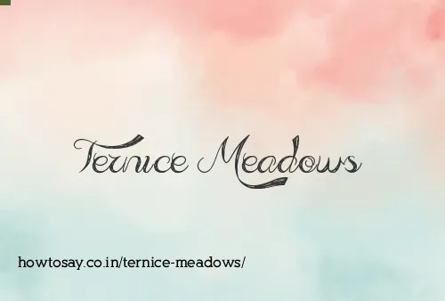 Ternice Meadows
