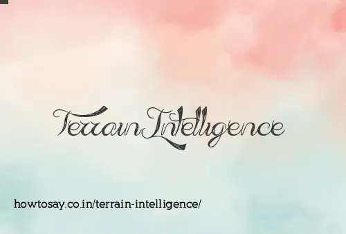 Terrain Intelligence