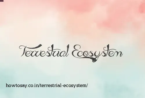 Terrestrial Ecosystem