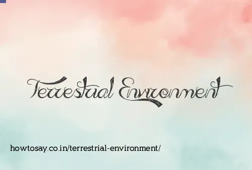 Terrestrial Environment