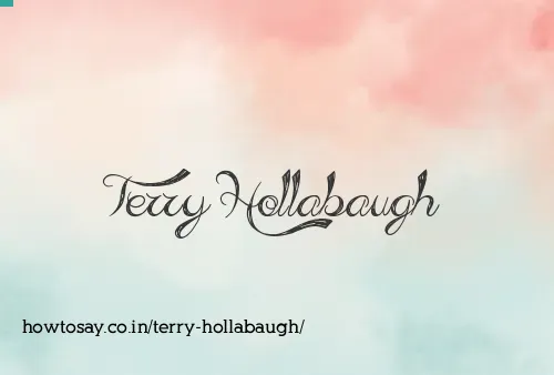 Terry Hollabaugh