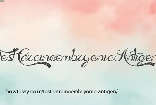 Test Carcinoembryonic Antigen