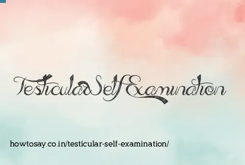 Testicular Self Examination