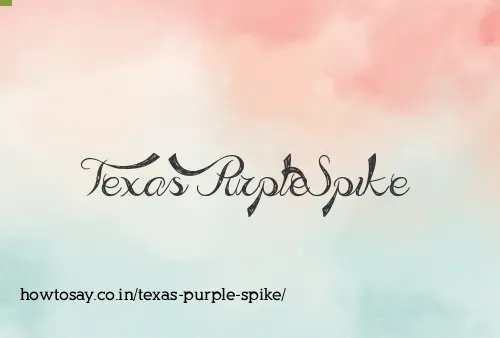 Texas Purple Spike